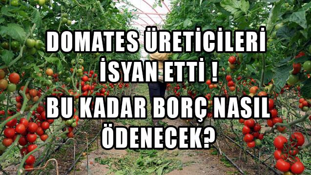 Antalyalı domates üreticilerinden boykot