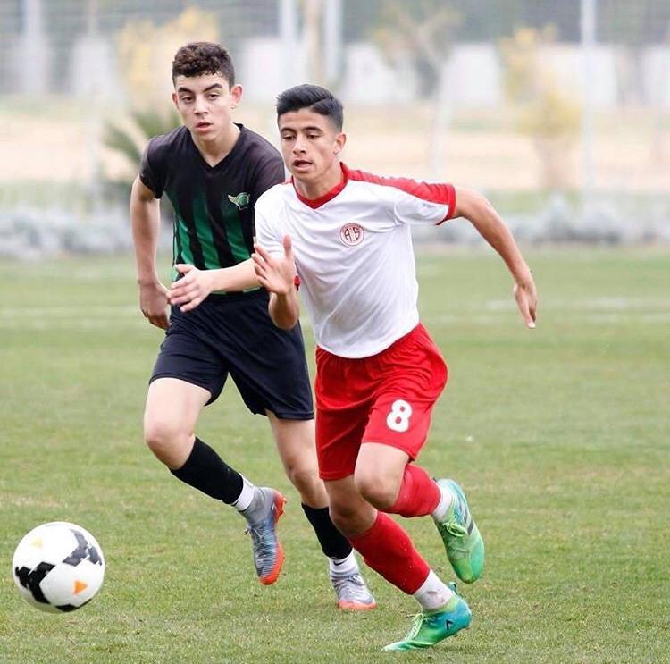 İtalya’da 1 Akrep