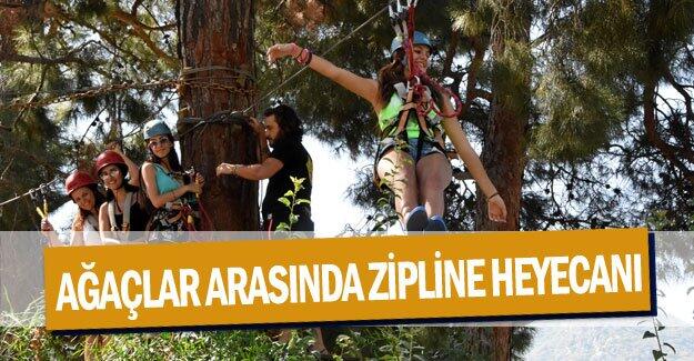 Ağaçlar arasında zipline heyecanı