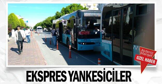Ekspres yankesiciler