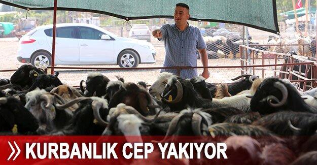 Kurbanlık cep yakıyor
